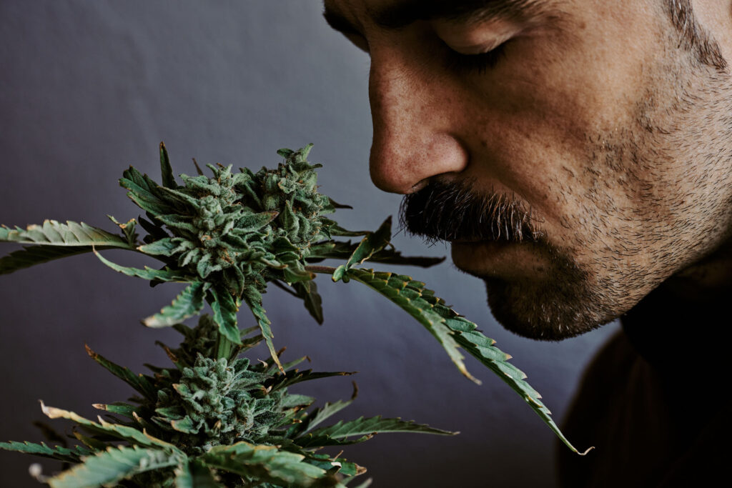 Detailed shot of a man smelling marijuana.