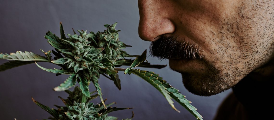 Detailed shot of a man smelling marijuana.